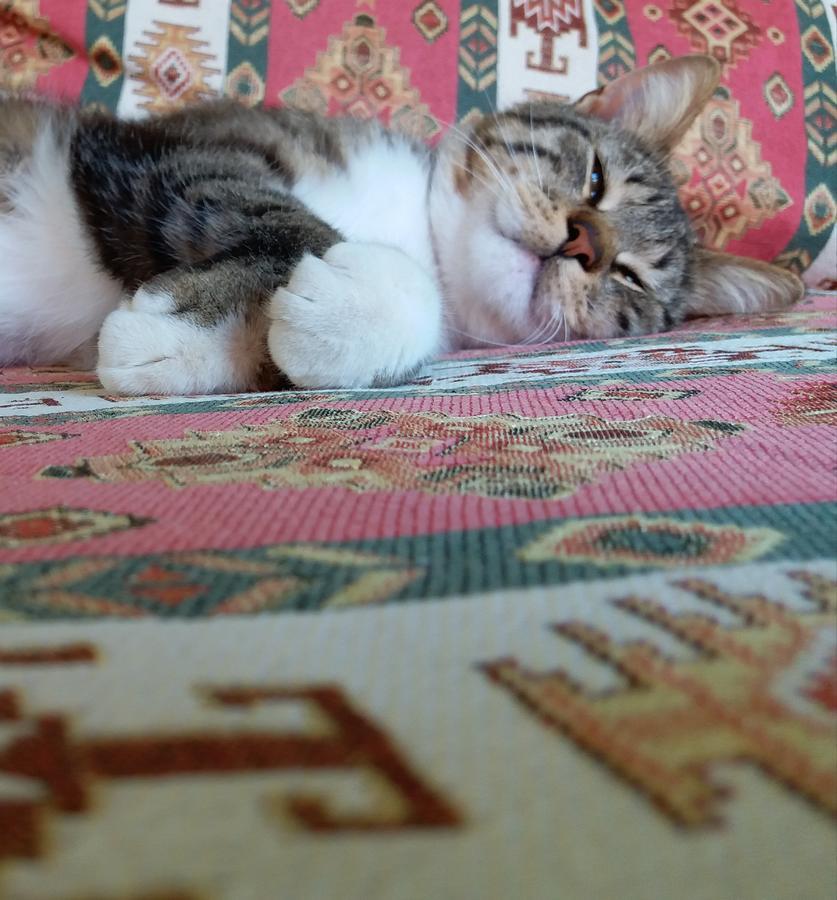 Kilim